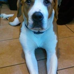 Meet your Posher, Gerry